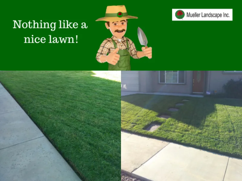 Mueller Landscape Inc